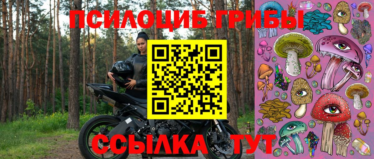 Набережные Челны  наркотики  Вход с VPN  Галлюциногенные грибы Cubensis 